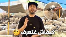 كيف تختار حولي د العيد بلا ما تاخد معاك شي حد أخور يختار لك